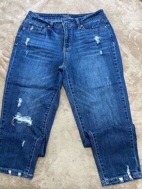 Time and Tru Dark Blue High-Rise Distressed Jeans